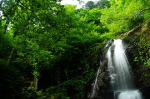 宇津江四十八滝県立自然公園