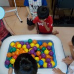 DSCN4068