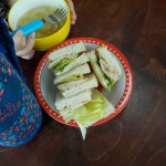 DSCN5487