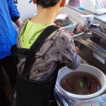 DSC_0618[1]